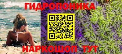 синтетический гашиш Будённовск