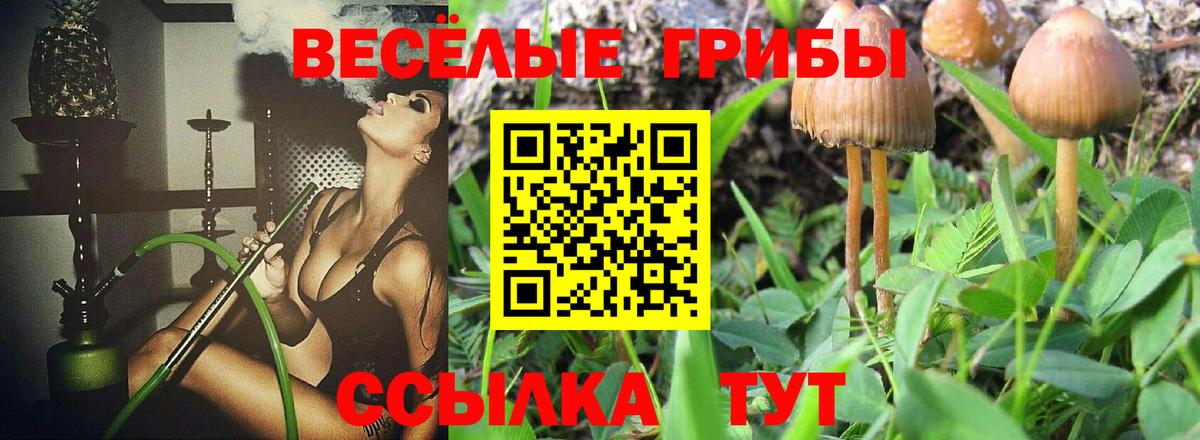 Псилоцибиновые грибы Psilocybine cubensis  Вход с VPN  Псилоцибиновые грибы Psilocybe  Ухта 